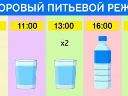 Точный график для худеющих: ешь что хочешь и пей воду по часам. Результат — минус 15 % жира