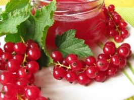 Красная смородина – польза и вред, калорийность и противопоказания