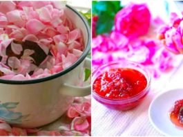 Лепестки чайной розы несут здоровье
